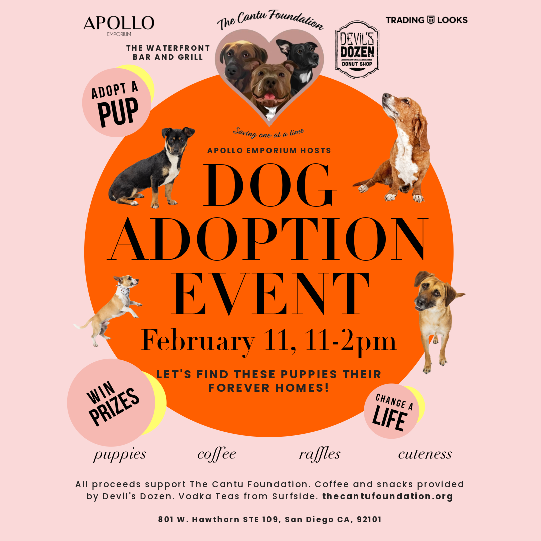 Dog Adoption Event for The Cantu Foundation