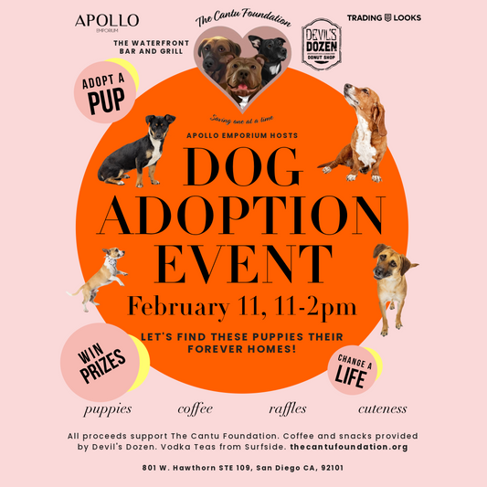 Dog Adoption Event for The Cantu Foundation