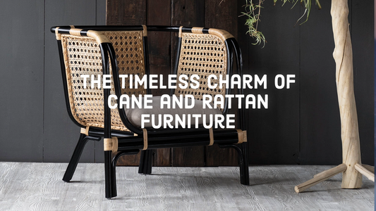 The Timeless Charm of Cane and Rattan Furniture