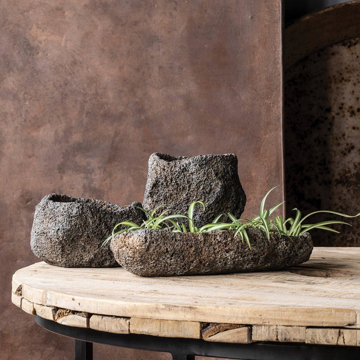 Cast Concrete Lava Stone Planter: Tall