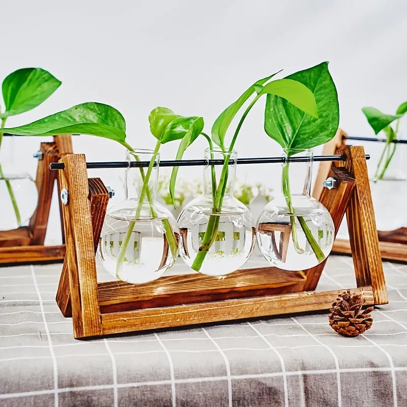 Propagation Vases