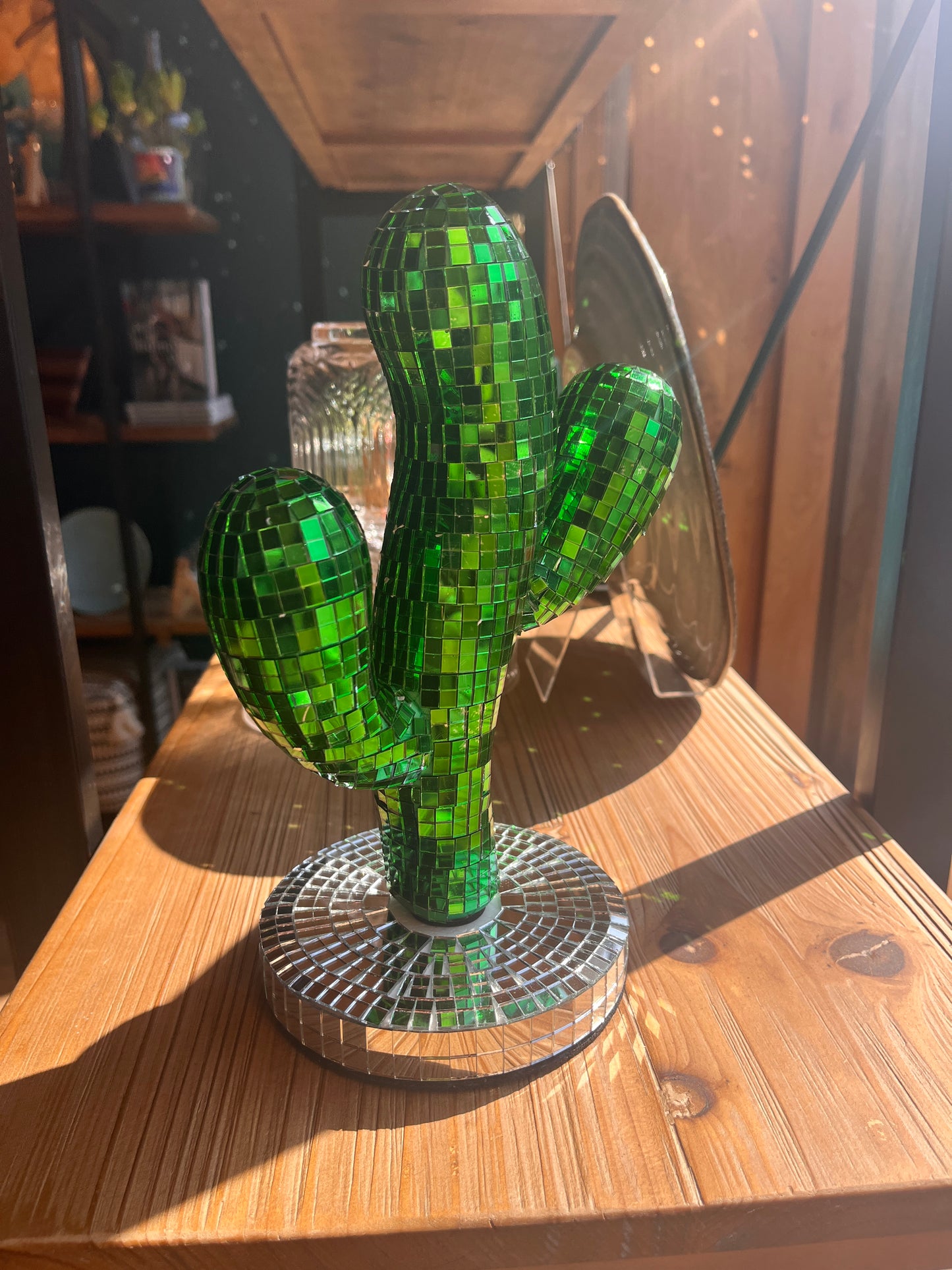 Disco Cactus