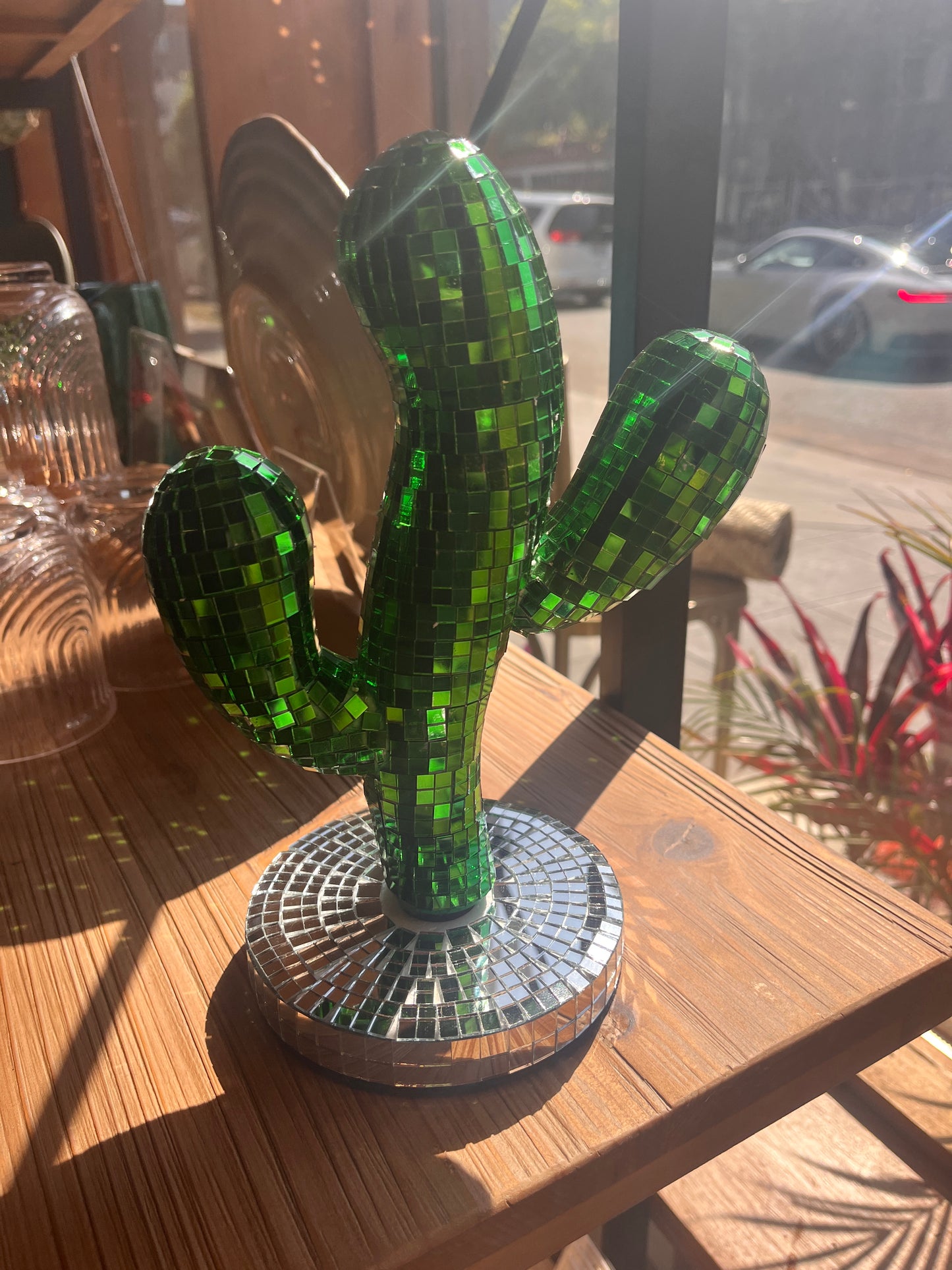 Disco Cactus