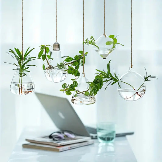 Hanging Propagation Bud Vases