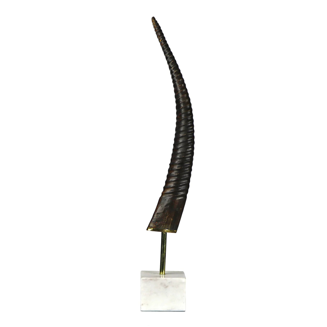 Exotic Horn on Base