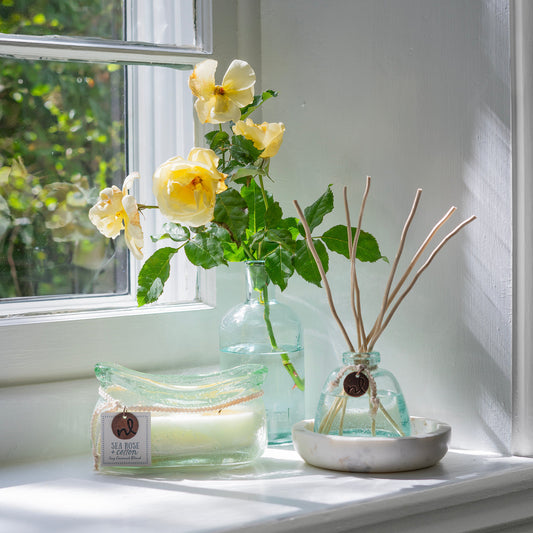 Windward Hand-Blown Glass Vessel Soy Candles