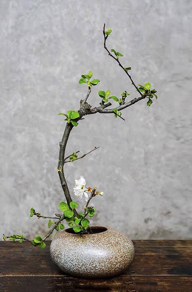 Handmade Ceramic Japanese Ikebana Vase