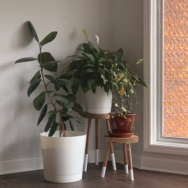 Modern Accent Stool, Plant Stool